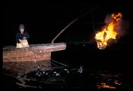  Usho - Japanese fisherwoman on torch-lit boat with cormorants on leash <br> during traditional Cormorant Fishing - Ukai, Uji, Japan